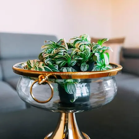 דירה Cozy In With Fantastic View