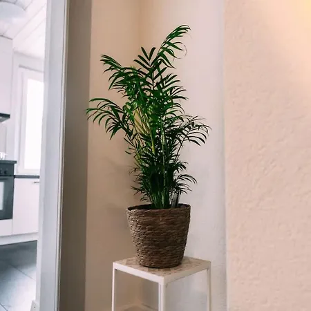 דירה Cozy In With Fantastic View שפיץ