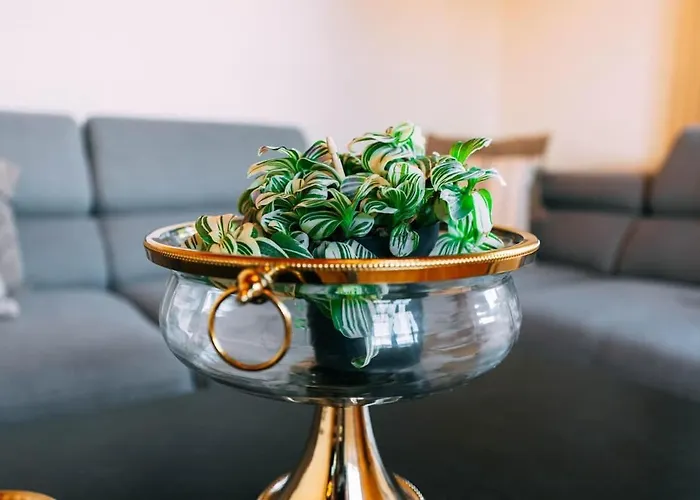 公寓 Cozy In With Fantastic View