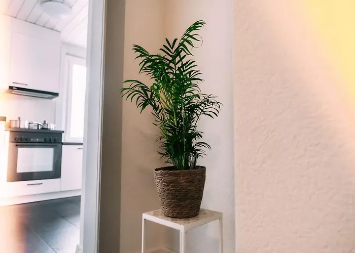 公寓 Cozy In With Fantastic View 施皮茨